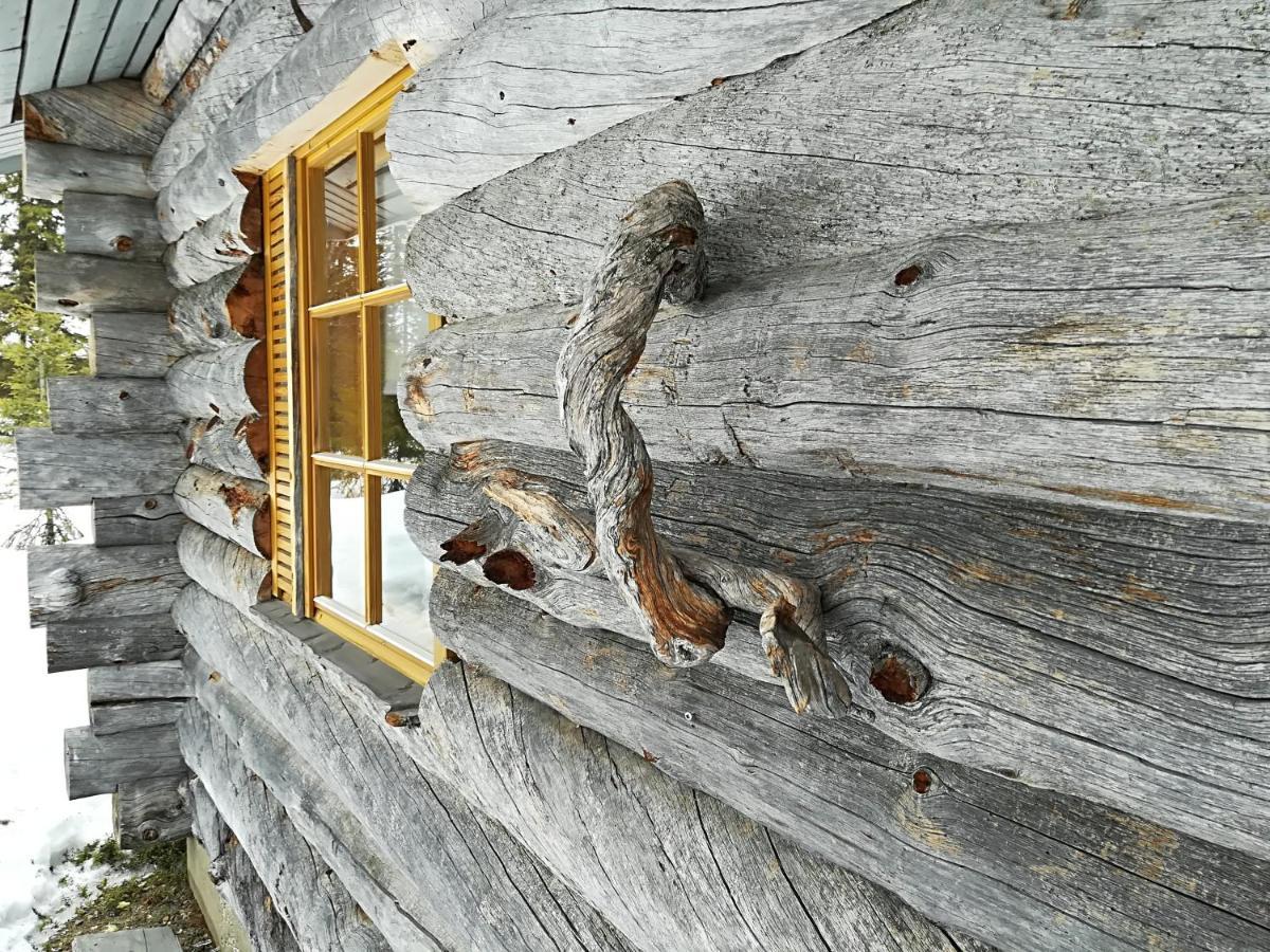 Logwood Chalet Луосто Экстерьер фото